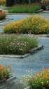 河川敷の花園