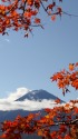 富士山&紅葉
