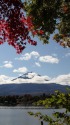 秋の富士山
