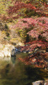 秋の昇仙峡 3