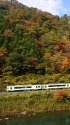 紅葉の水郡線を行くキハ110系