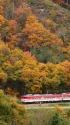 紅葉の磐越西線を行くキハ40系