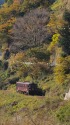 わたらせ渓谷鐵道の秋