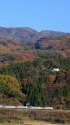 紅葉の山々と185系特急水上