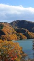 草木ダムの紅葉