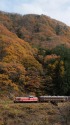 わたらせ渓谷鐵道 トロッコ
