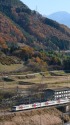 紅葉の上越線を行く185系