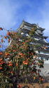 勝山城
