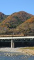 利根川を渡る湘南色115系