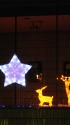 クリスマスイルミネーション
