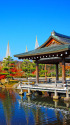 紫式部公園の紅葉