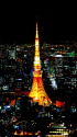 これぞ東京の夜のシンボル。