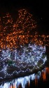 Xmasイルミネーション