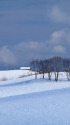 冬の雪原