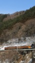 諏訪峡を行く湘南色115系