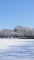 雪晴れの朝