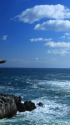 冬の海