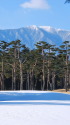 立春を迎える里山と松