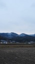 田んぼ道と山