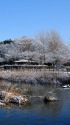 雪の砂沼公園