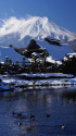 冬の富士・水鳥憩う風景