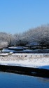 雪の砂沼公園2