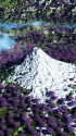 春色の眺望