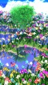 カラフル水仙群落