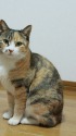 いらっしゃいませ♪
