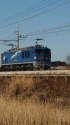 青いEF510機関車牽引の貨物