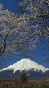 日本晴れ