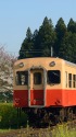 桜咲く春の小湊鉄道 桜咲く春の小湊鉄道