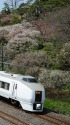 偕楽園の梅とスーパーひたち
