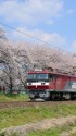 一目千本桜とEH500-4