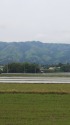 田んぼ