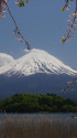 春の富士山・河口湖畔からの眺め