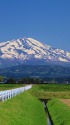 鳥海山と田園風景