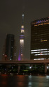 祝・スカイツリー開業(雅)