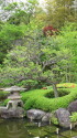 長谷寺の緑あふれる庭