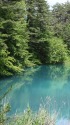 青沼