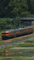しなの鉄道169系湘南色編成