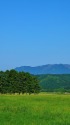 前森高原