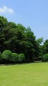 清々しい朝の公園