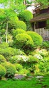龍澤山禅昌寺庭園