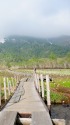 尾瀬 木道のある風景