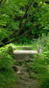 戸隠古道