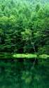 深山の雨上がり