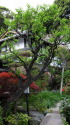 鎌倉古陶美術館の庭