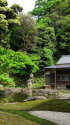 円覚寺の緑あふれる庭