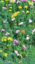 ダイナランドゆり園
